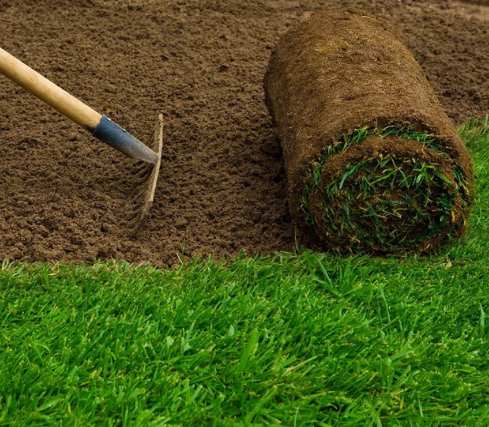 A roll of grass next to a shovel.